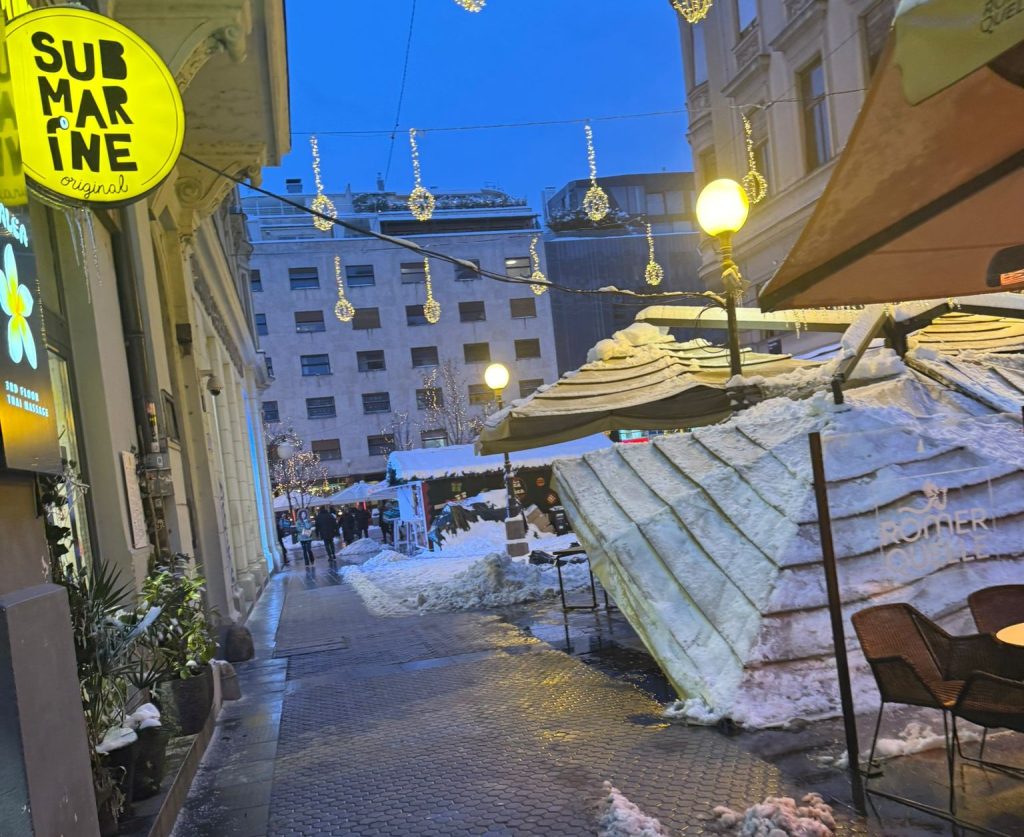 Snježne radosti ili gadosti