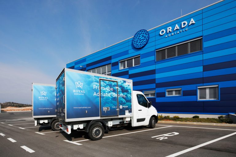 Orada Adriatic