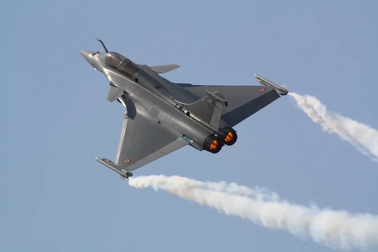 Rafale France Jet/ Izvor: Free Malaysia Today
