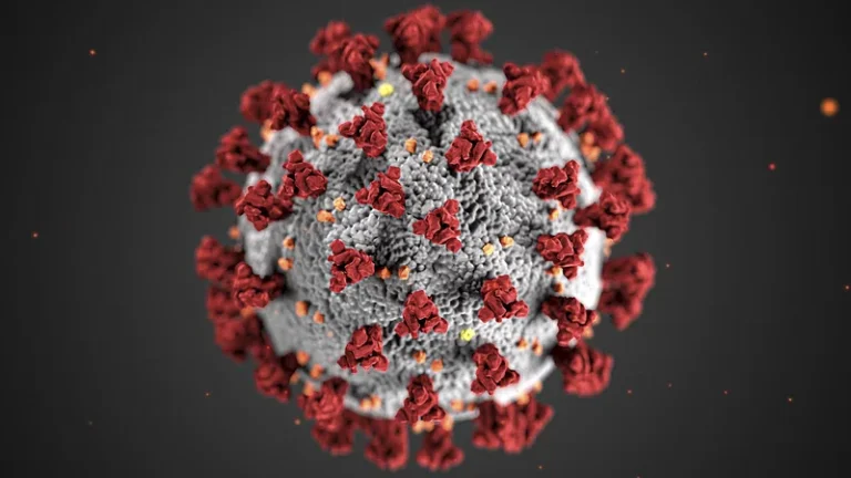 Virus koji se širi Kinom